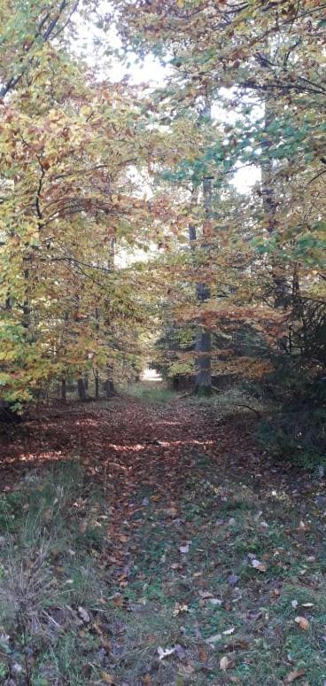 Penzion Slunovrat Běstvina Dış mekan fotoğraf